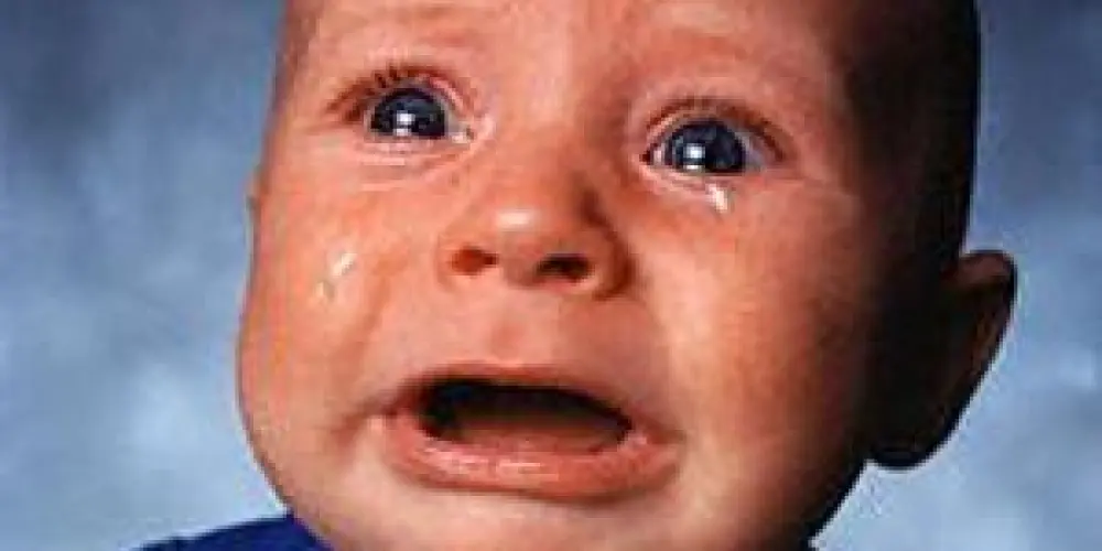 Imagem do grupo de WhatsApp The Last