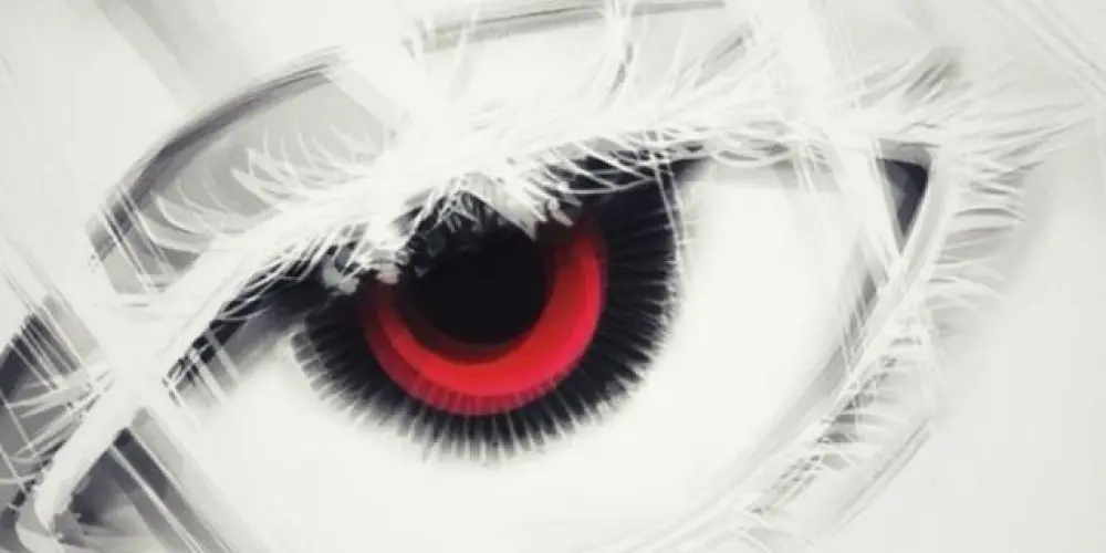 Imagem do grupo de WhatsApp THE LIMBO 🚀