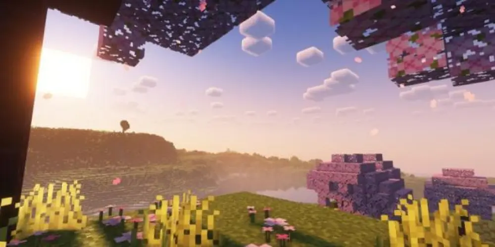 Imagem do grupo de WhatsApp The Miners