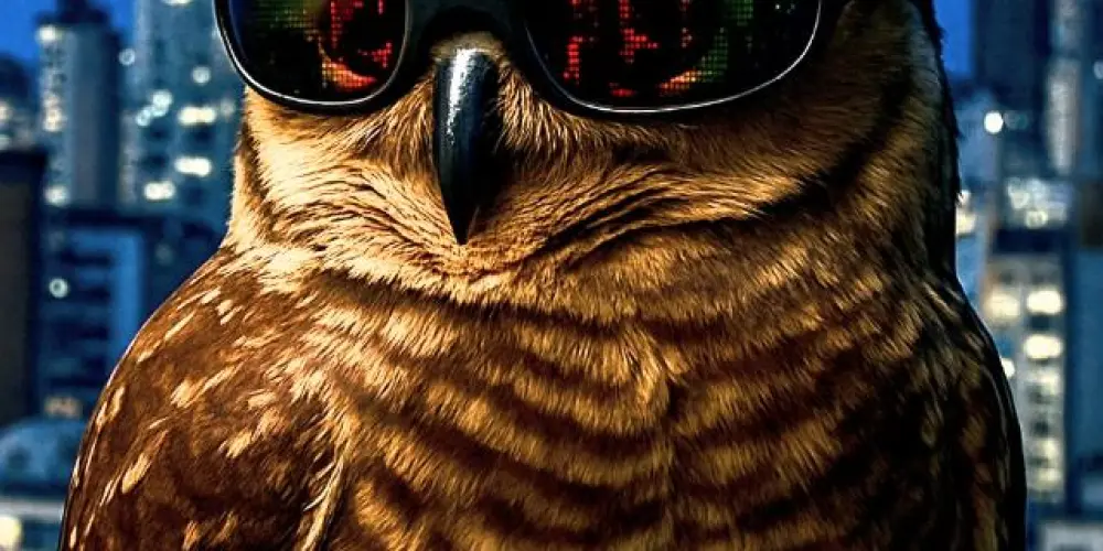 Imagem do grupo de WhatsApp 🦇🌙The Nocturnal🌙🦇