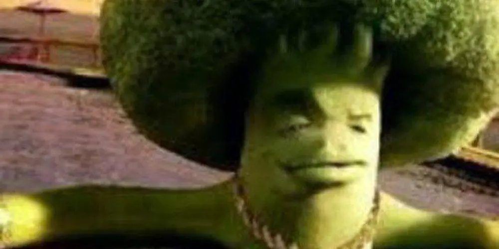 Imagem do grupo de WhatsApp 🦇🌙The Nocturnal🌙🦇