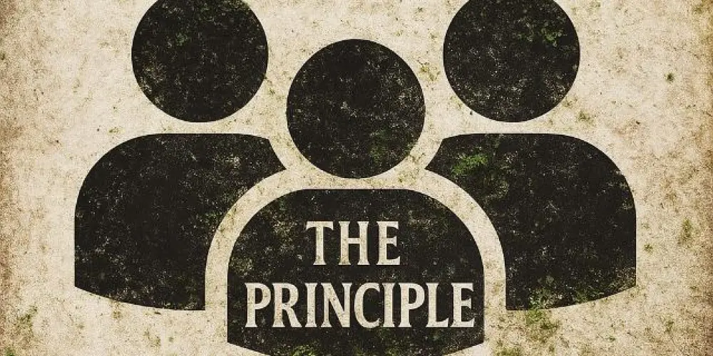 Imagem do grupo de WhatsApp THE PRINCIPLE