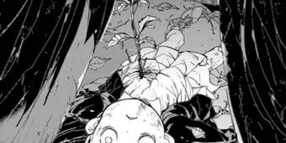 Imagem do grupo de WhatsApp The promissed neverland ♡