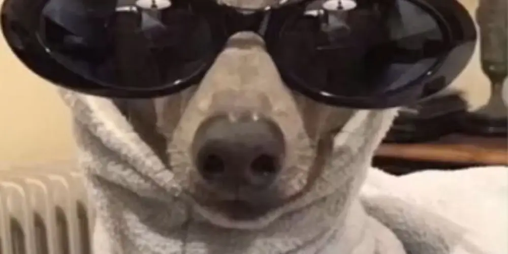 Imagem do grupo de WhatsApp The strongest