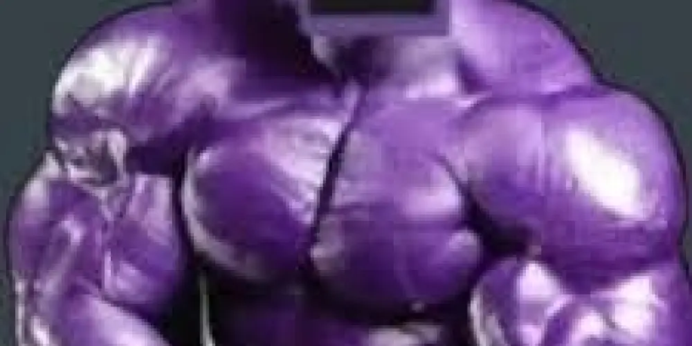 Imagem do grupo de WhatsApp The suckers