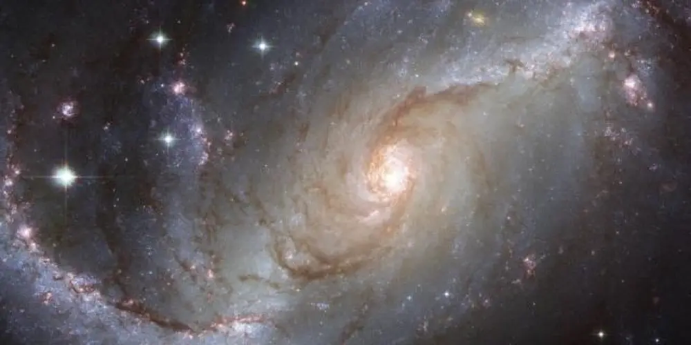 Imagem do grupo de WhatsApp 🌀💫The Universal Group 🌀💫