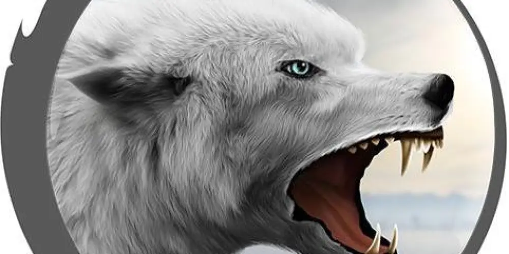 Imagem do grupo de WhatsApp 🐺THE WOLF FRIEND 🐺