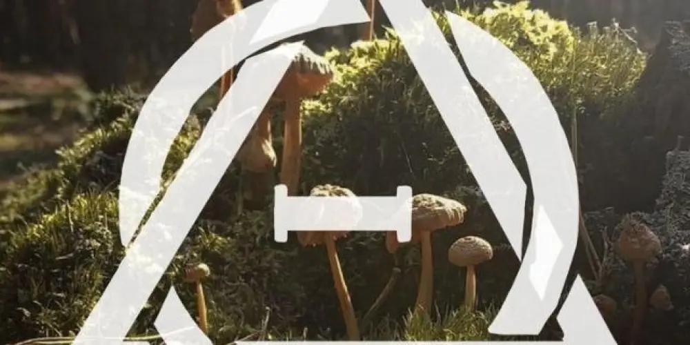 Imagem do grupo de WhatsApp Therians