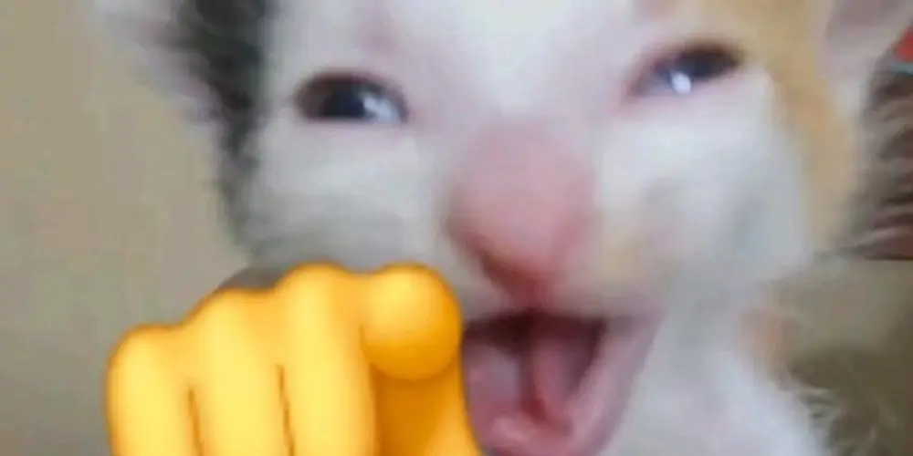 Imagem do grupo de WhatsApp Think fun ⍨⃝📍