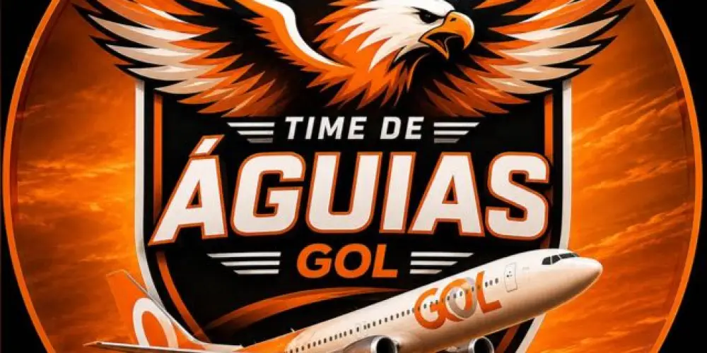 Imagem do grupo de WhatsApp Time de águias 🦅 Gol ✈️🧡
