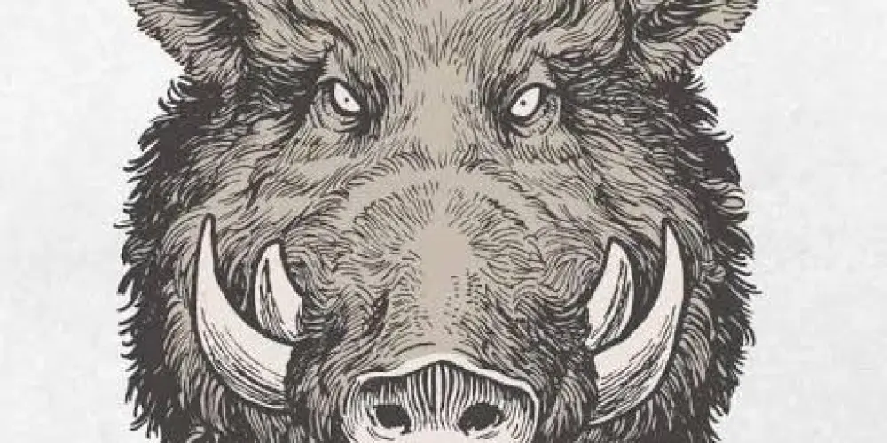 Imagem do grupo de WhatsApp 🐗Time de CAÇADORES 🐗💥