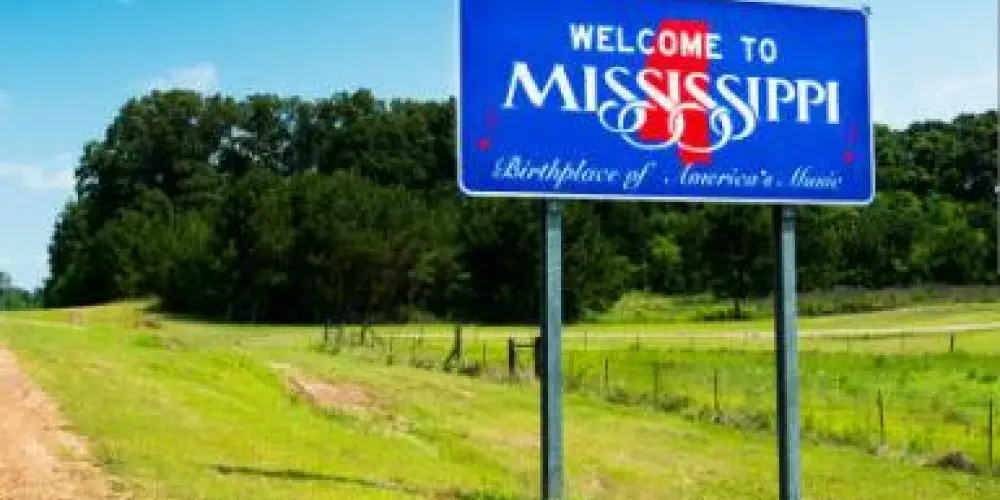 Imagem do grupo de WhatsApp Timely English