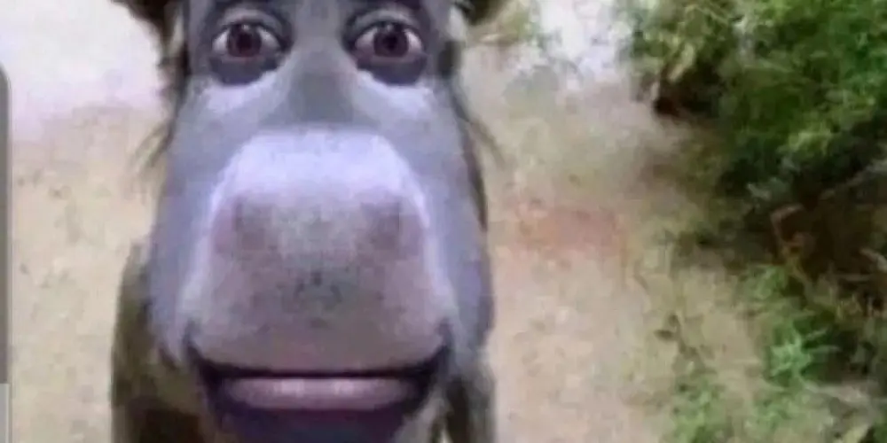 Imagem do grupo de WhatsApp ՏᕼITᑭOՏT🔥 | 𝗡𝗙𝗗