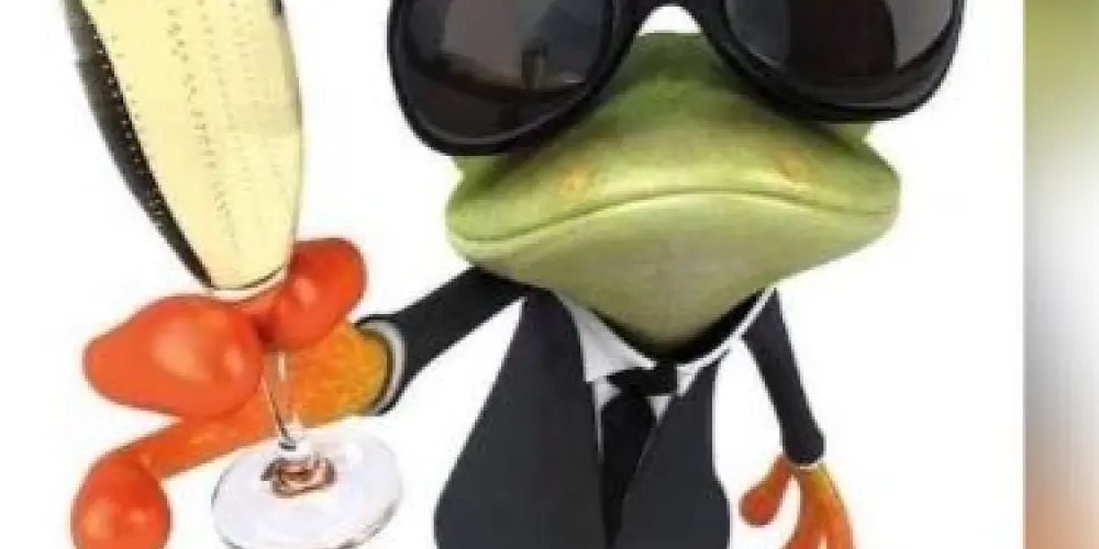 Imagem do grupo de WhatsApp TMD