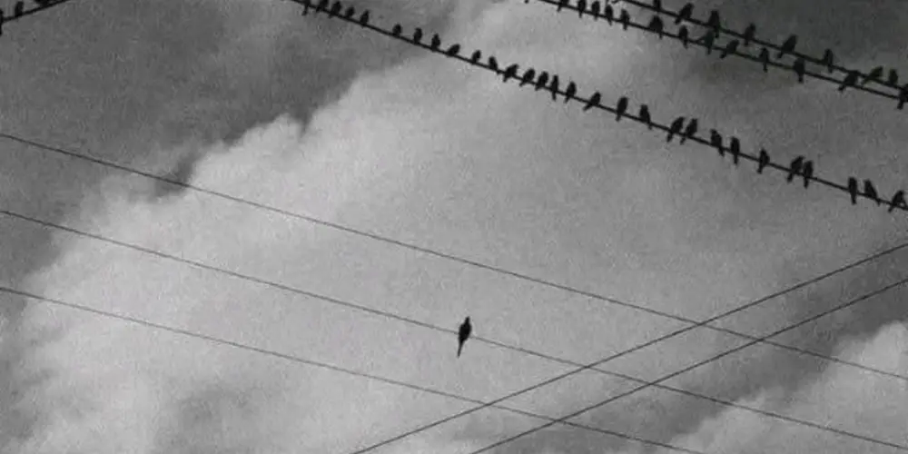 Imagem do grupo de WhatsApp TÔ MORANDO SOZINHO (BR)