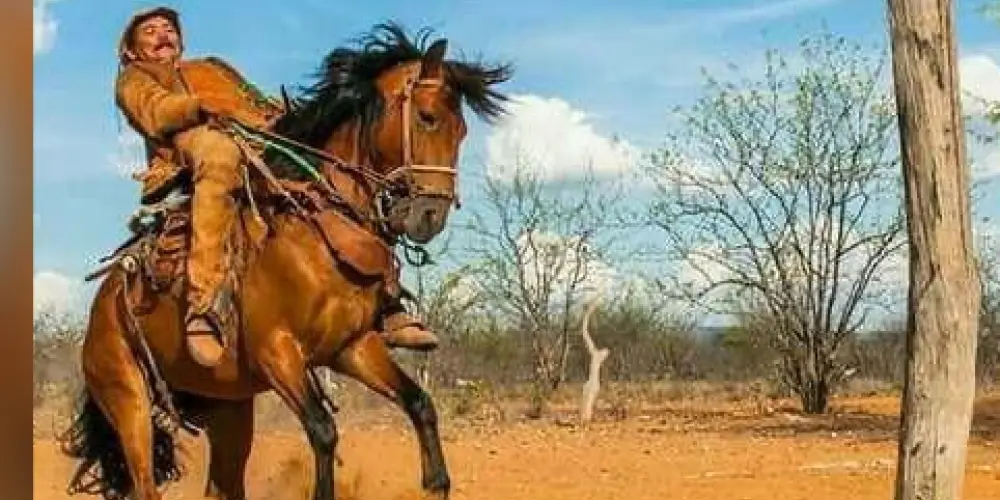 Imagem do grupo de WhatsApp TOADAS