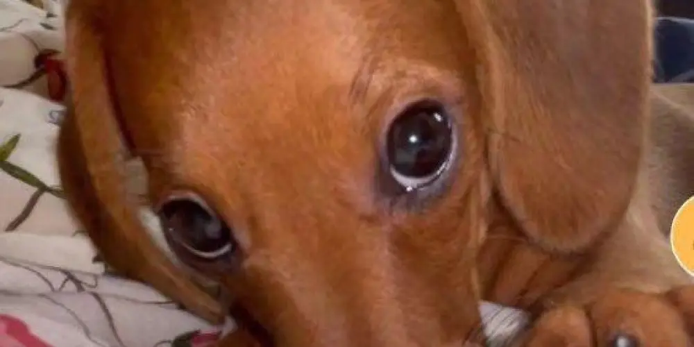 Imagem do grupo de WhatsApp TODAS AS CIDADES 🇧🇷💗