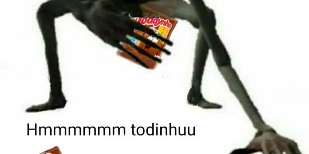 Imagem do grupo de WhatsApp TODDYNHO