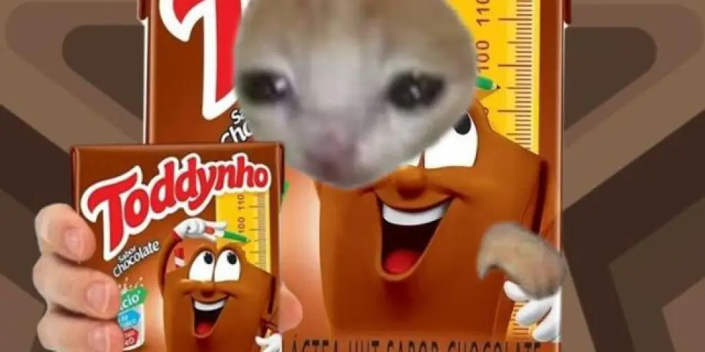 Imagem do grupo de WhatsApp TODDYNHOO