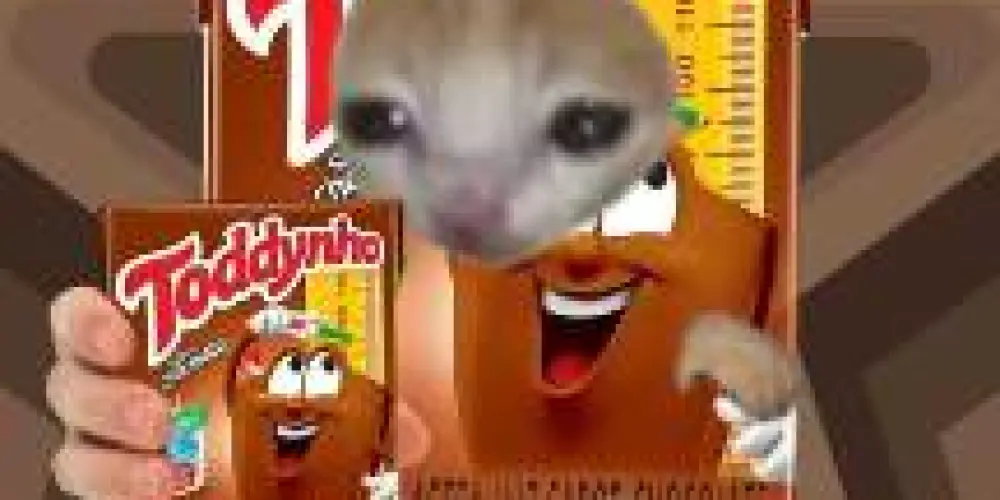 Imagem do grupo de WhatsApp TODDYNHOO