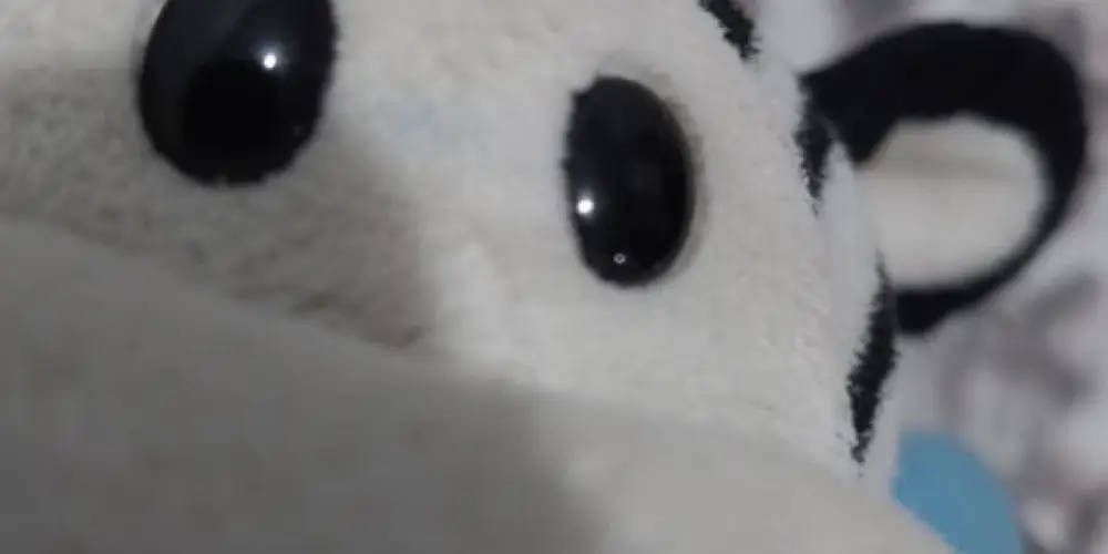 Imagem do grupo de WhatsApp Todo mundo é louco