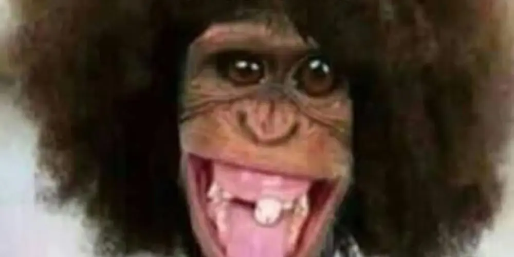 Imagem do grupo de WhatsApp Todos na moita