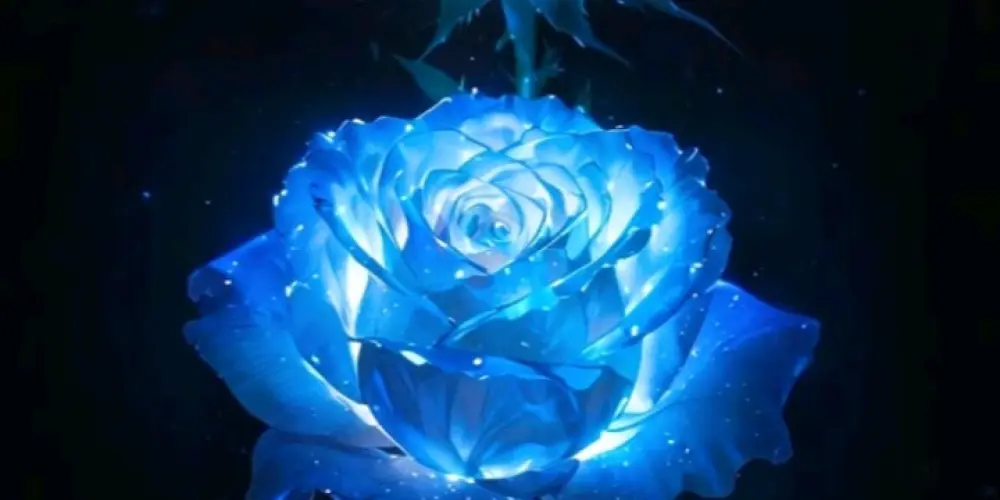 Imagem do grupo de WhatsApp Tokyo Revengers City