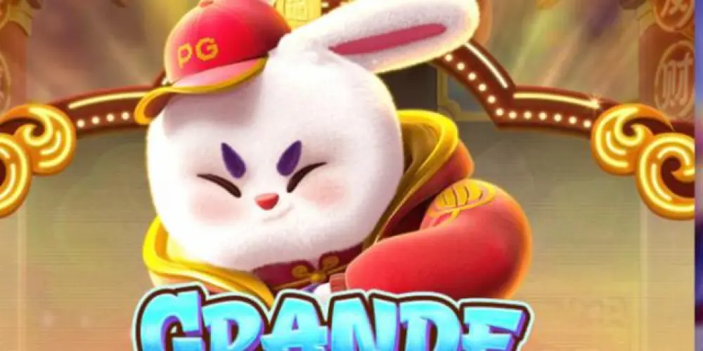 Imagem do grupo de WhatsApp Top links plataformas