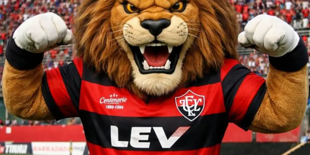 Imagem do grupo de WhatsApp Torcida do Leão