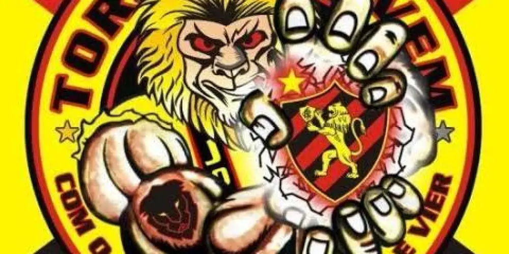 Imagem do grupo de WhatsApp Torcida Jovem do Leão 🦁🇩🇪