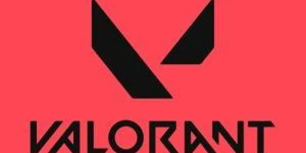 Imagem do grupo de WhatsApp TORNEIO DE VALORANT