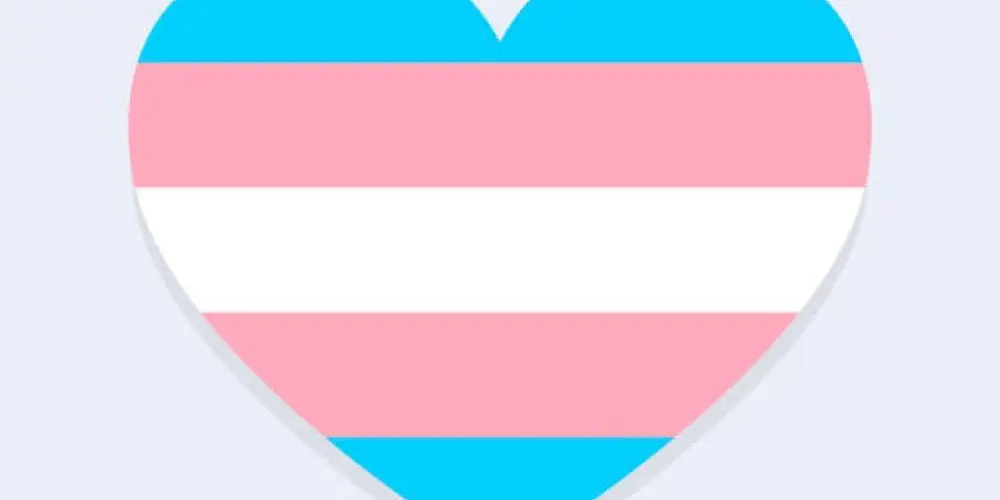 Imagem do grupo de WhatsApp TRANS FF