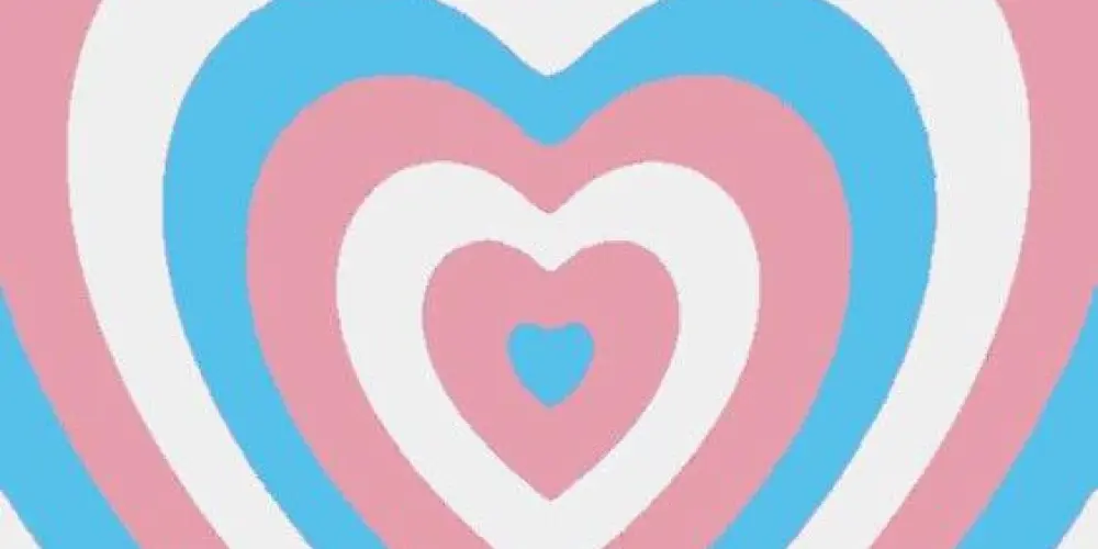 Imagem do grupo de WhatsApp 🏳‍⚧🩷 TRANS LOVE 🩵🏳️‍⚧️