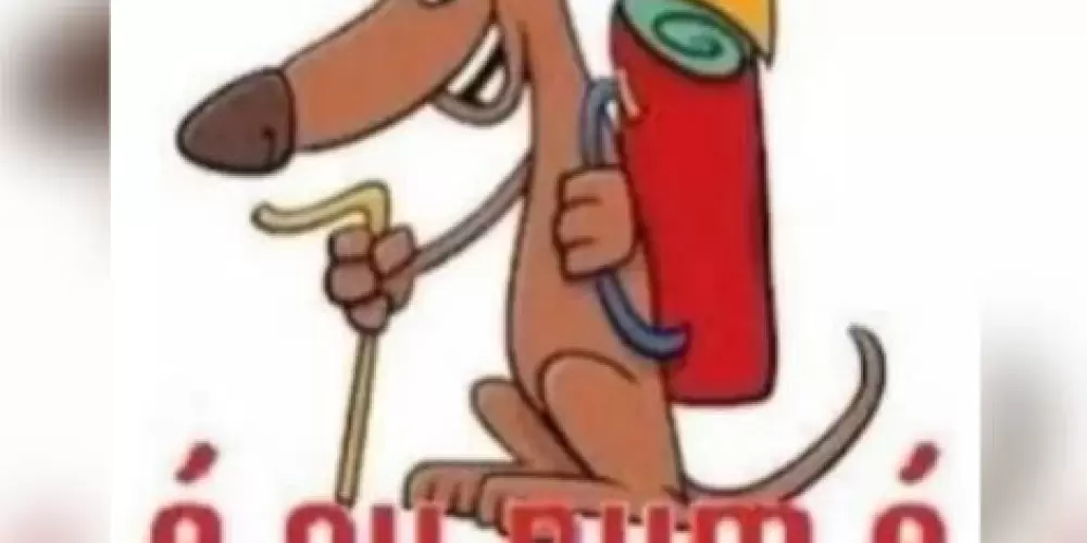 Imagem do grupo de WhatsApp Trans vai ser pai