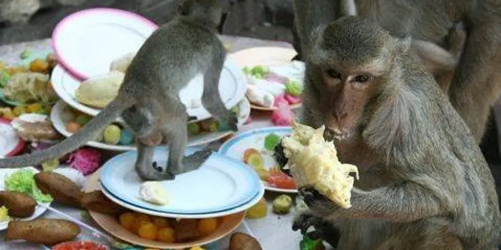 Imagem do grupo de WhatsApp TRDO💯