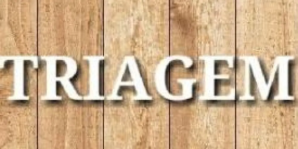 Imagem do grupo de WhatsApp Triagem das bandidas 🏳️‍🌈