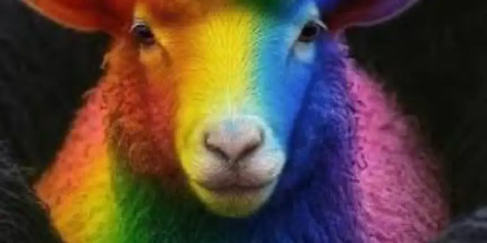 Imagem do grupo de WhatsApp Triagem do Cabar€ delas