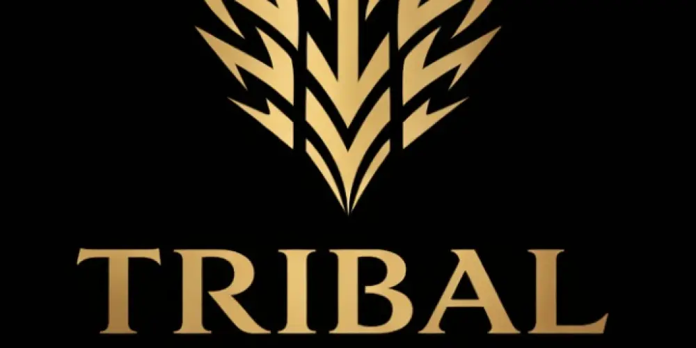 Imagem do grupo de WhatsApp TRIBAL NETWORKING