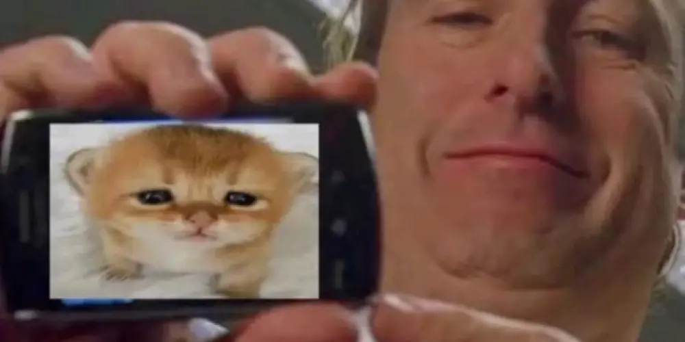 Imagem do grupo de WhatsApp Tribunal da esquizofrenia