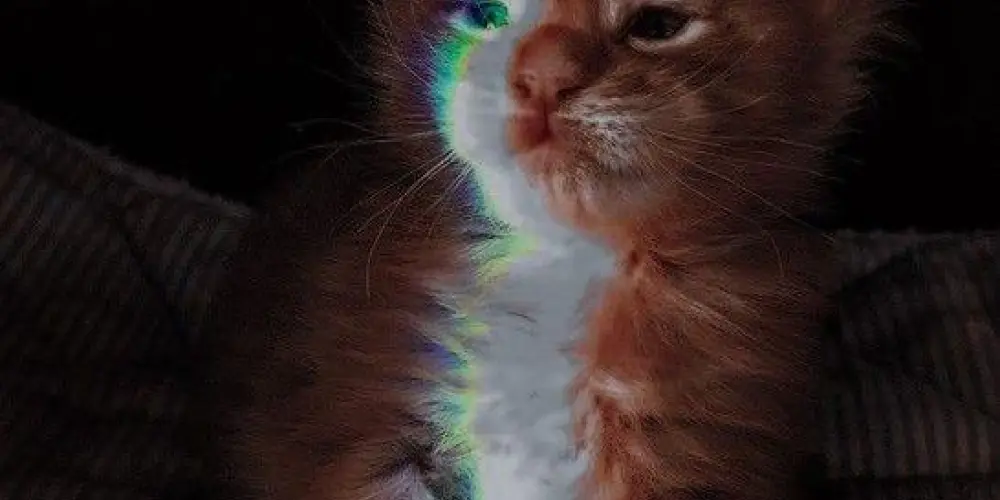 Imagem do grupo de WhatsApp Tribunal das Sem Cura