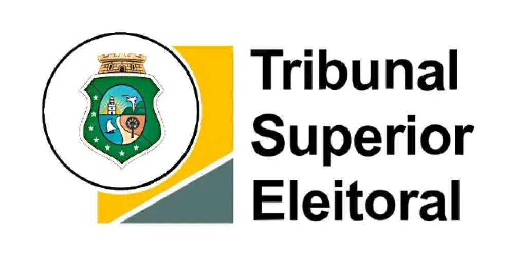 Imagem do grupo de WhatsApp Tribunal Superior Eleitoral (TSE)