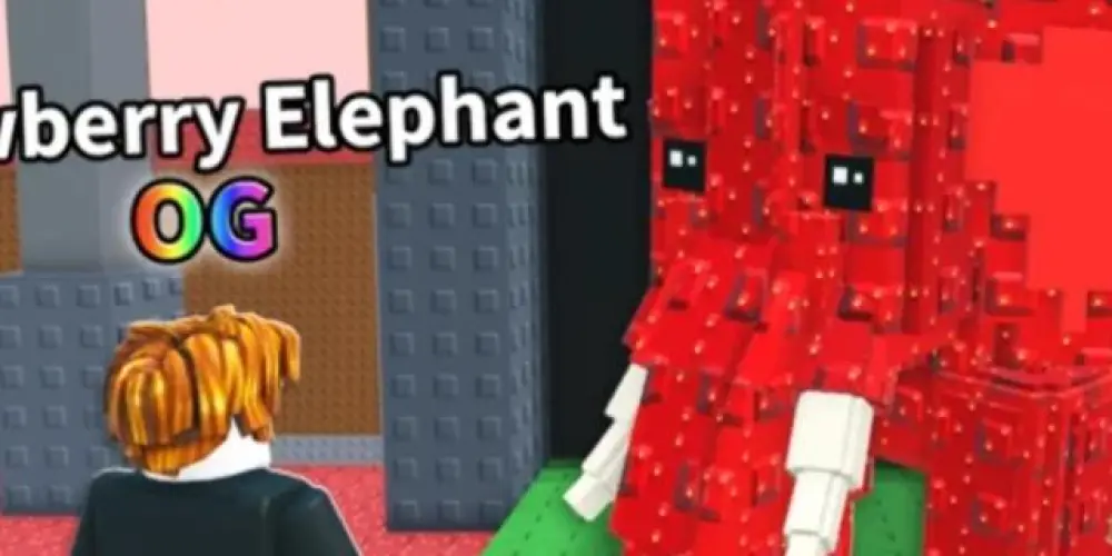 Imagem do grupo de WhatsApp Tripulação IRUY