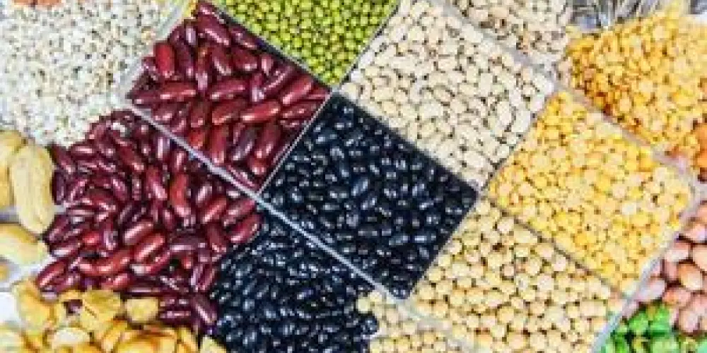 Imagem do grupo de WhatsApp Trocas de sementes