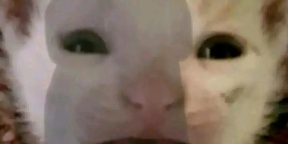 Imagem do grupo de WhatsApp TROLAGEM, MEMES, ZOEIRAS ETC...