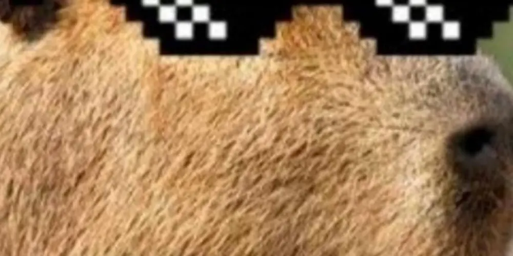 Imagem do grupo de WhatsApp Tropa da capivara🇩🇪