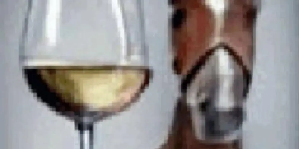 Imagem do grupo de WhatsApp Tropa da creche