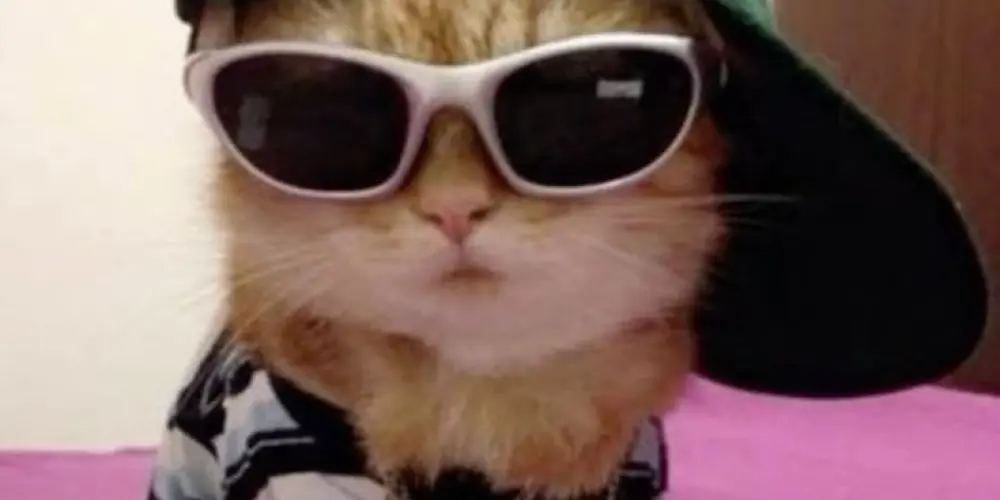 Imagem do grupo de WhatsApp 💫Tropa da Resenha👑