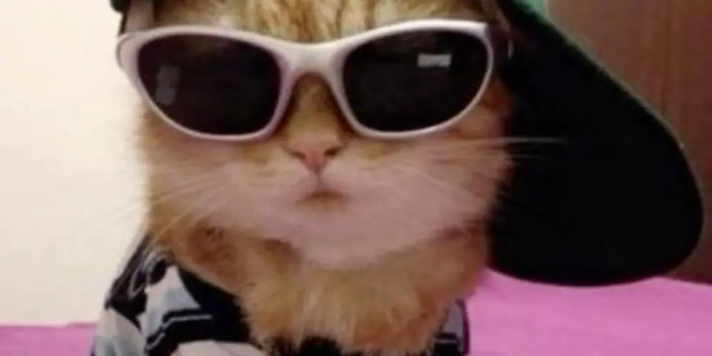 Imagem do grupo de WhatsApp 💫Tropa da Resenha👑