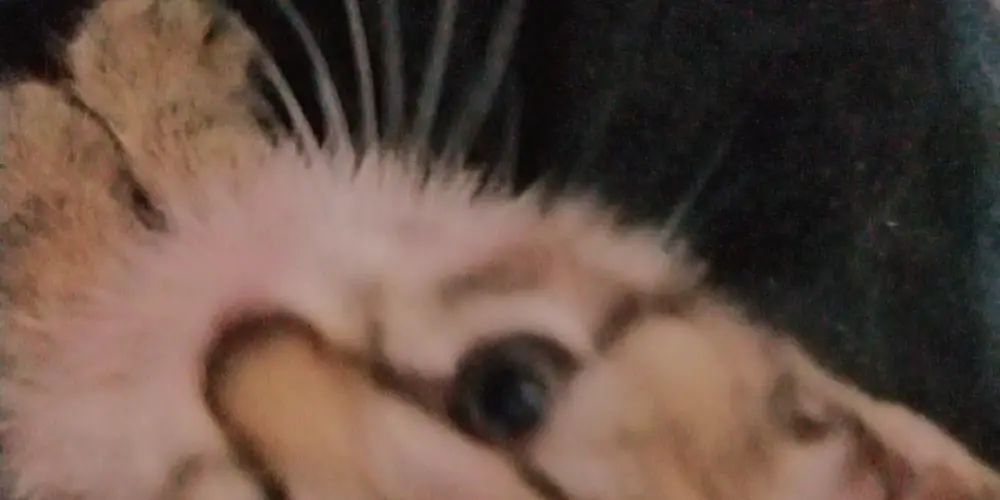 Imagem do grupo de WhatsApp Tropa da web🥷🏻👑