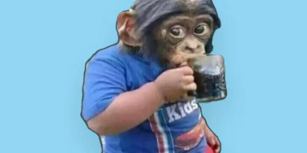 Imagem do grupo de WhatsApp 🇧🇷 Tropa da Z.O <•